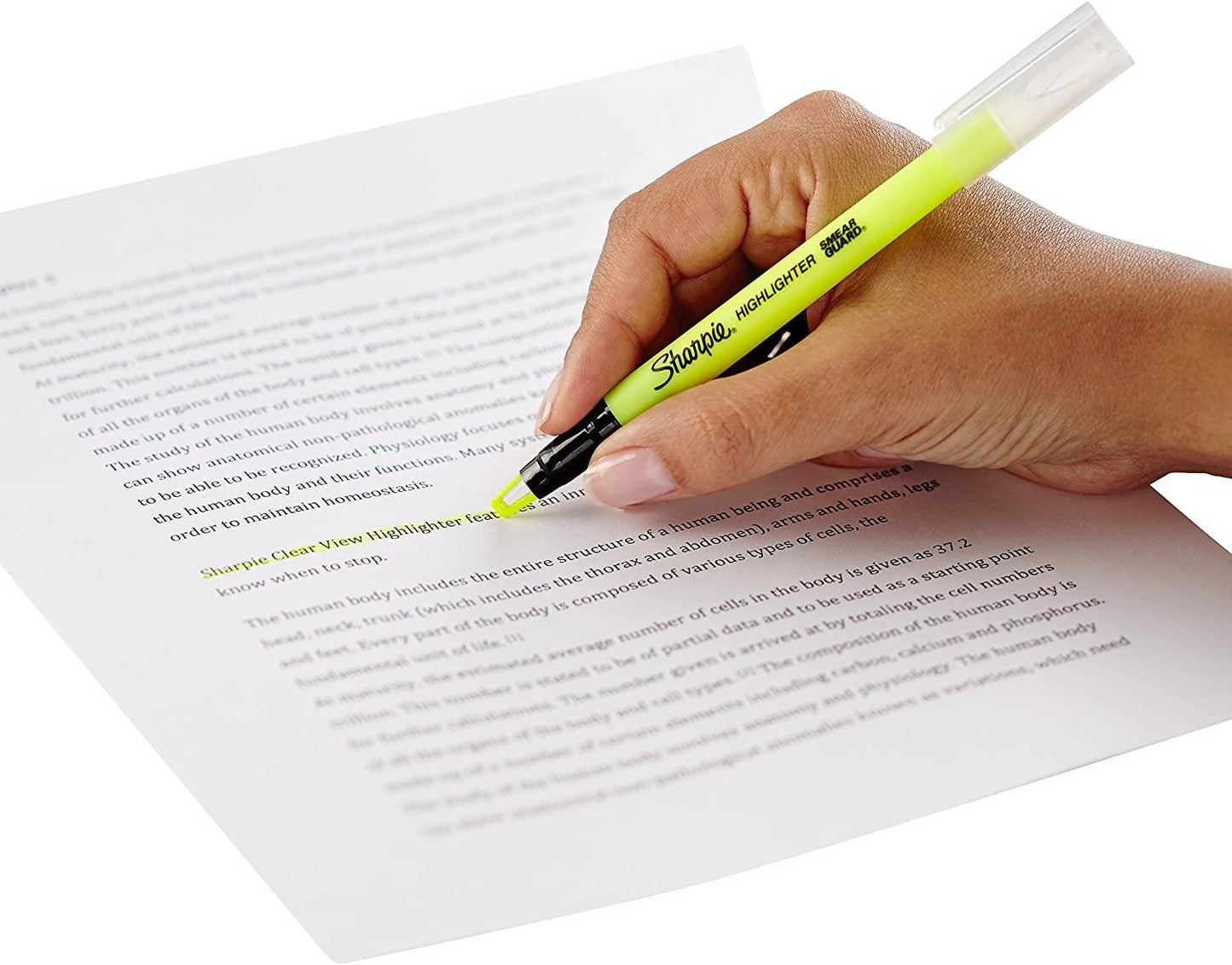 Sharpie Highlighter Clear View blister of 4 colors